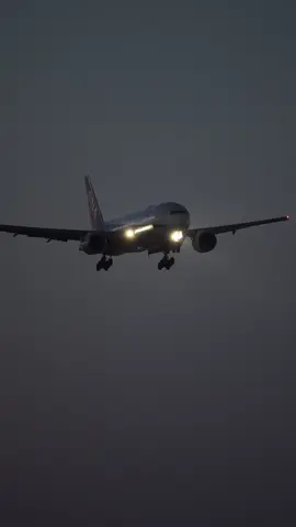 Wis cah saiki wayae fokus golek duwit. #nightvibes #allnipponairways #fukuoka #4k #xybca #foryou 