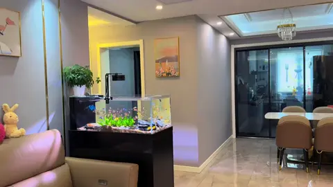 #tiktokgiaitri #xuhuongtiktok #xuhuongfacebook #giaitri #cácảnhđẹp #mêcácảnh #xuhuong #tiktok #cácảnh #cá #fpy #shortbodyfish #cachepphitan #cacanh #cachepsutu #cachepphitanvip #facebook #cacanhanhsaomai #chepsutu #nghechuchot #viralvideo #LearnOnTikTok #cachepsutuvip #carong #arowana #caloc #cakieng #trend #ott #phitan #cáchépsưtử #chépsưtử #chépsưtửtrắng #thuysinh #guppy #betta #aquarium #locnuoihoca