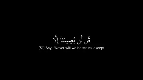 Surah Tawbah #قران #قران_كريم #quran #quranrecitation #quran_alkarim 