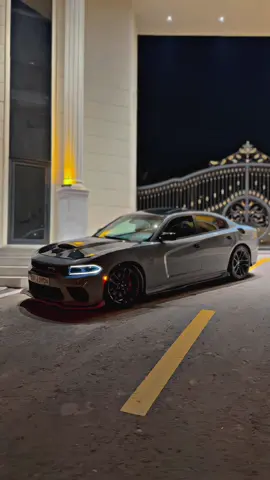 #scatpack 🐝💥