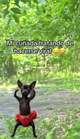 @𝒟𝒶𝓎𝒶𝓃𝒶🌷 👀😂
