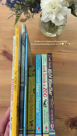 Need to get some more summer themed books! Can’t believe we are finishing up our first year of homeschool!!  #childrensbook #homeschool #homeschoolmom #momof6 #kidsbook #summerreading 