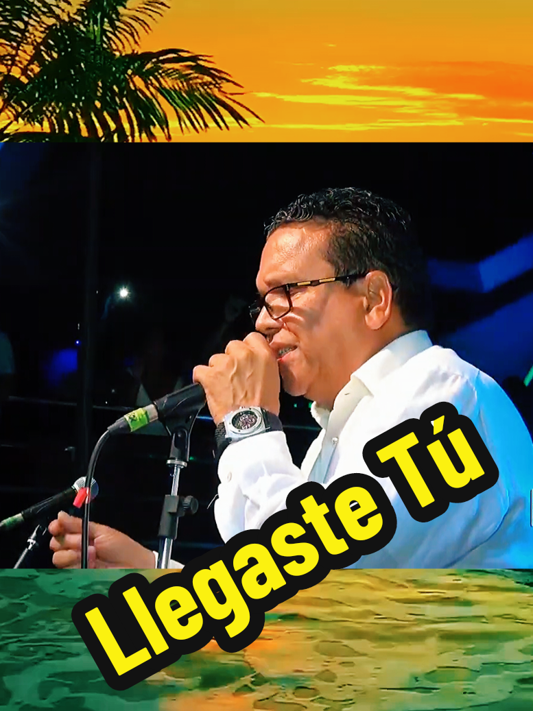 Llegaste Tú,  La misma gente #lamismagente #llegastetu #salsa #salsas #salsaromantica #salsabaul #salsaparaestados #musicatropical #tropical #latinos #latinostiktok #exitos #exitosmus #bailables #musica #viralvideo #viralmusic 
