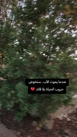 #عندما يموت الأب ، ستخوض  حروب الحياة بلا قائد 💔#فقيدي_الراحل_الذي_يشبه_الجنة_في_عيني #تصويري #اكسبلور 