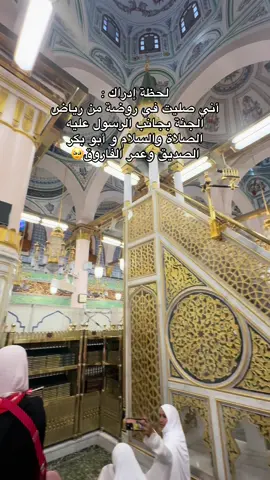 #المدينه_المنوره_ #المسجد_النبوي #الروضه_الشريفه #السعودية #الحمدلله_دائماً_وابداً #استغفرالله 