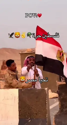 #fypシ゚ #الجيش_المصري #تحيا_مصر #فلسطين🇵🇸 #🦁🦁🦁 #شعب_الصيني_ماله_حل 