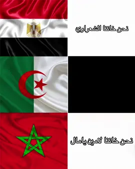 الجزائر 🇩🇿😕#CapCut #هلا_مدريد_دائما_وابدا👑❤ #مصر #الجزائر #المغرب🇲🇦 