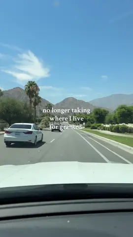 just out here living my desert daydream 🌵🏜️☀️ #california #californialiving #californialife #palmsprings #palmdesert #laquinta #coachellavalley 