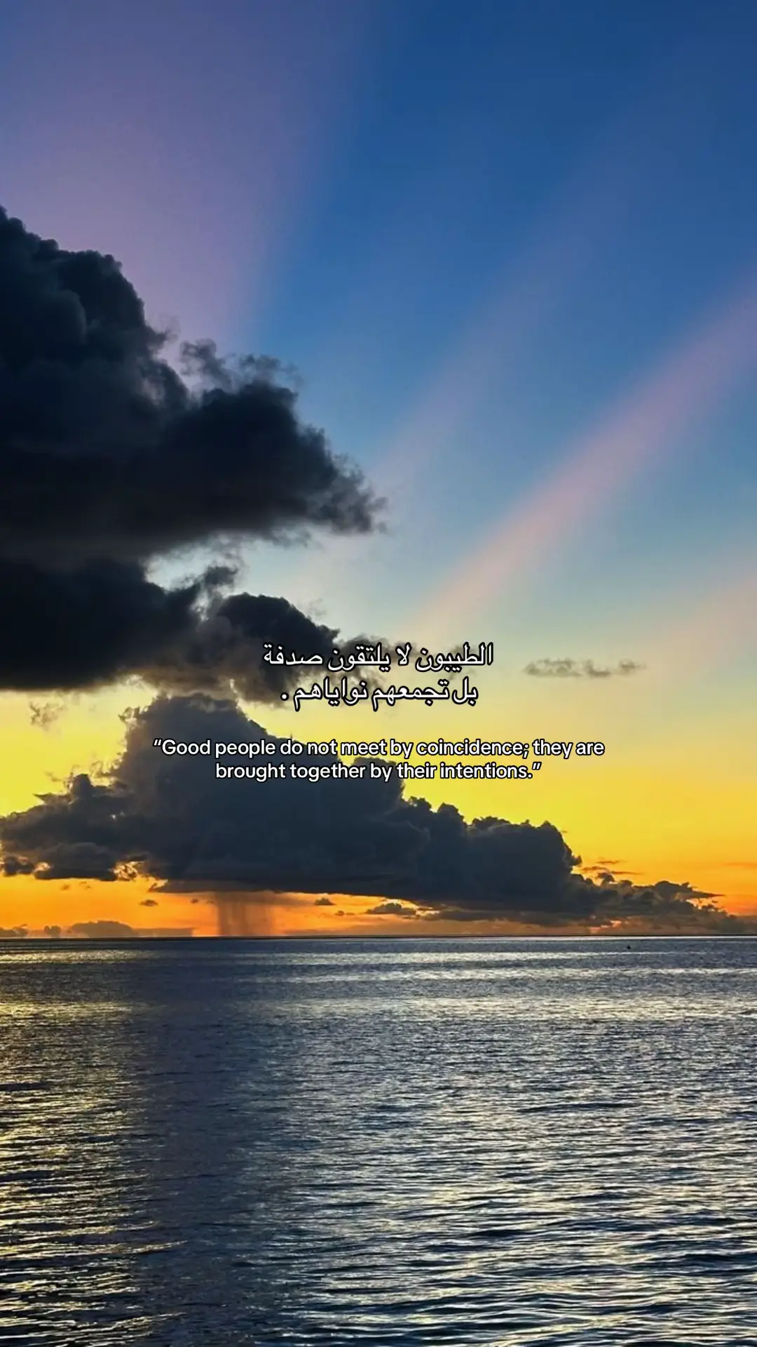 #fypシ゚ #foryou #اكسبلور #viral #fyp 