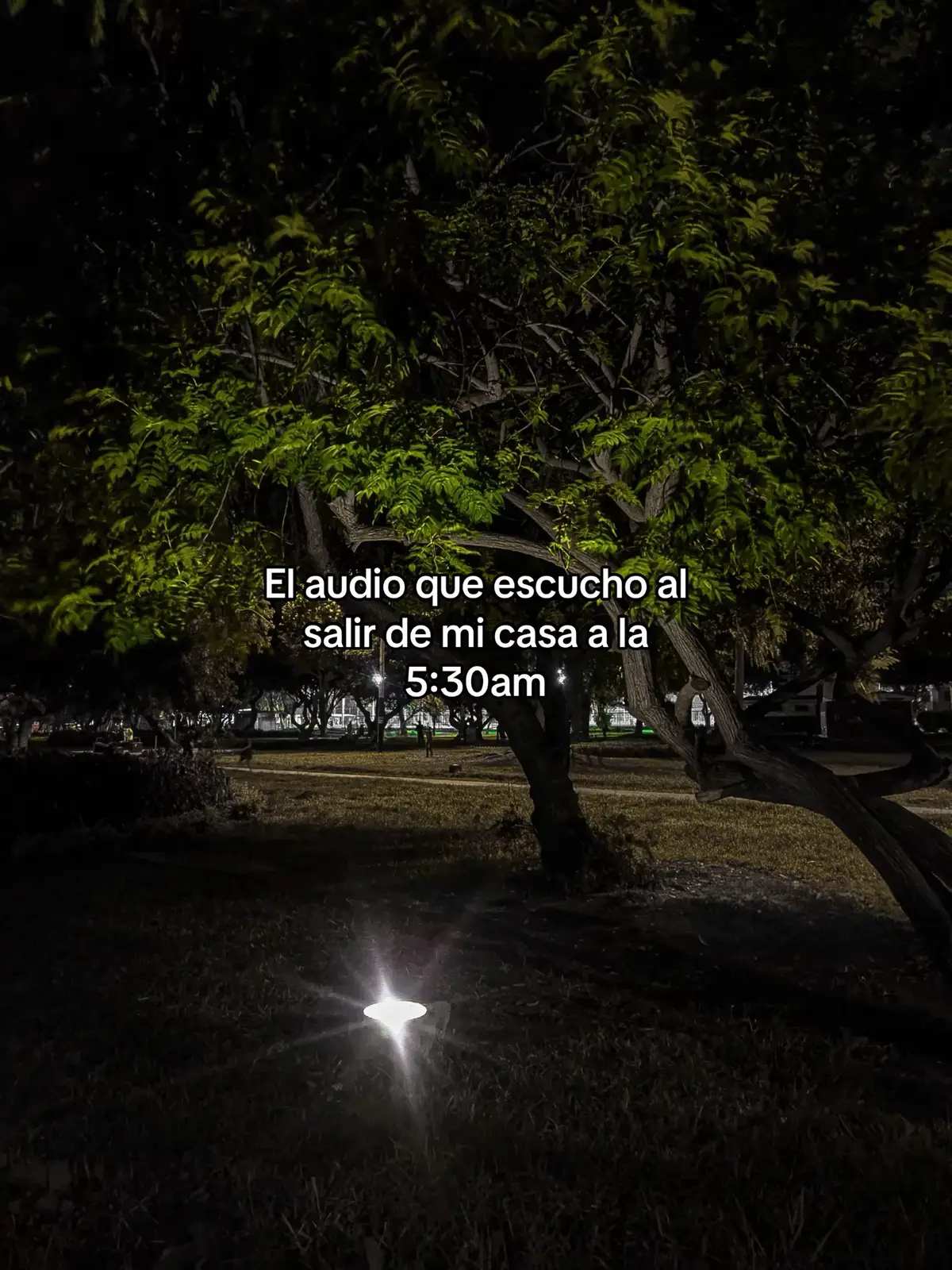 #mentalidad #cambio #disciplina 