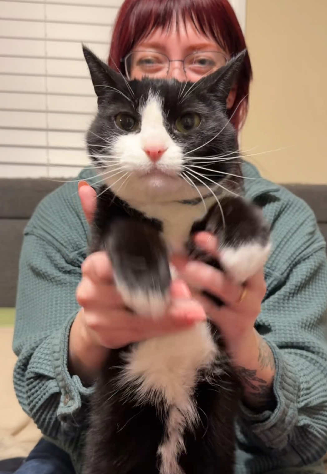 this song makes Tete feel like a mystical wizard #catdance #catsoftiktok #cattok #veridisquo 