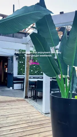 Don’t wait for the weekend to enjoy yourself 🌸 Make it a mission this summer to find your go-to happy hour spot In Ottawa, or try a new one every week! 📍Somewhere Dine Bar, 110 Murray Street  ⏰ 5-7pm every weekday 🍹$11 cocktails and mocktails, 50% off apps, and $2/oyster #thingstodoottawa #happyhour #summeractivities #ottawarestaurants  