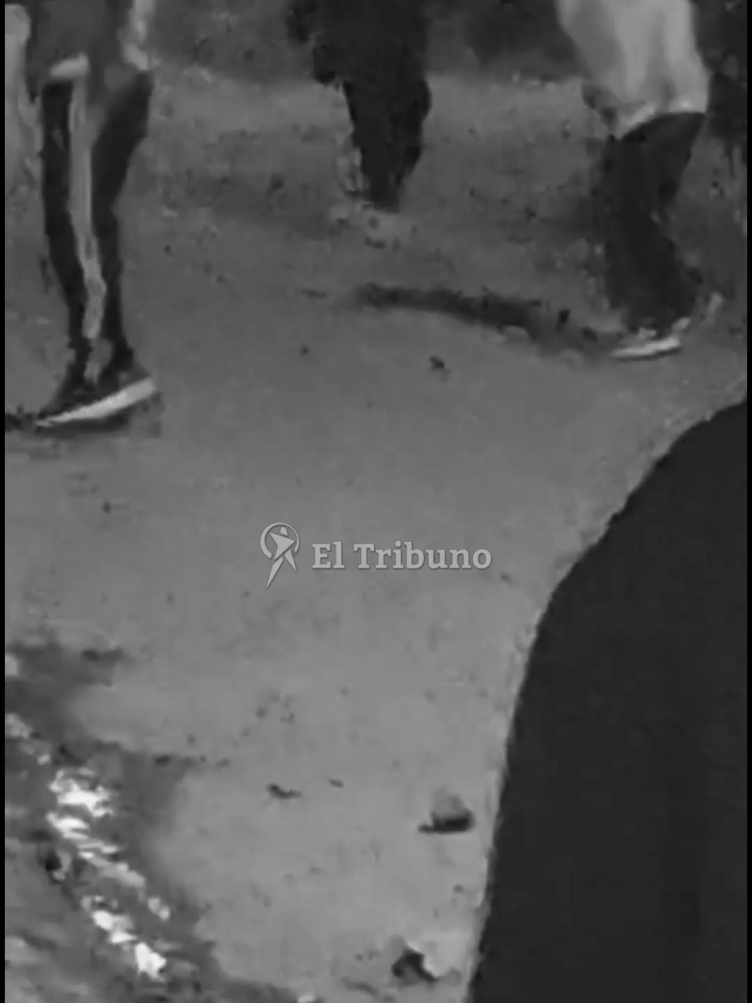 🚨 Tensión en la zona oeste alta: disputa territorial entre El Cambio y Villa Asunción 💥 Vecinos tapiando ventanas y viviendo con miedo debido a pedradas, golpes y amenazas cruzadas😨 ¿Hasta dónde llegará la violencia entre vecinos? 🤯  #ElCambio #VillaAsunción #Violencia #Salta #Barrios