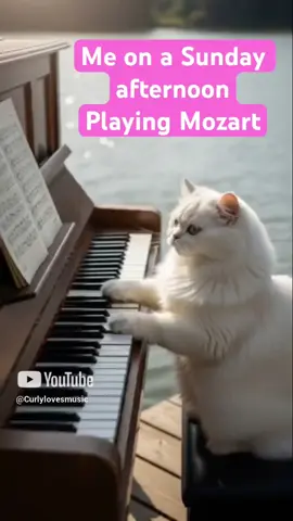 It’s me, the Mozart cat. Curly said I could play her piano only on Sundays. #cat #cute #catsoftiktok #musician 