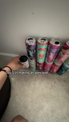 should i add celsius to the wall?? |            #fyp #fypシ #fypシ゚viral #fypage #viral #viralvideo #alani #wall #famous #xyzbca #celsius 