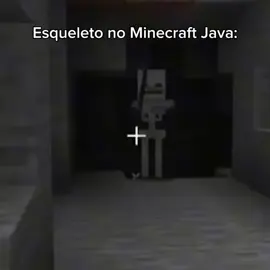 esqueleto Java vs Bedrock #minecraftmemes #esqueletominecraft 