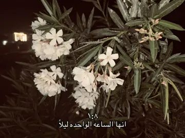 صدى صوتك يدك بالراس ويران#شعر #هواجيس_الليل 