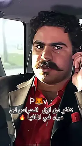 تتفقون؟ #وادي_الذئاب #مراد_علمدار 