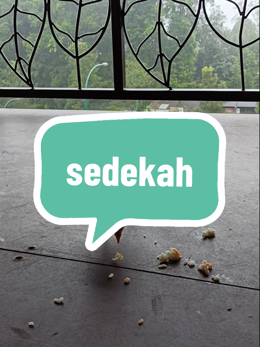 sedekah karena kasihan sama seperti Fir'aun #sedekah #miminya_ucha #kajianislam 