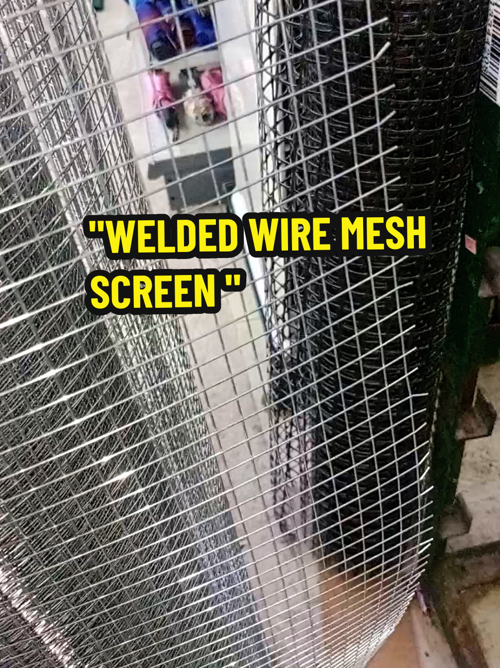 AVAILABLE for 2 thickness#creatorsearchinsights #weldedwire #meshwire #chickenwire #hardwaretools #galvanize 