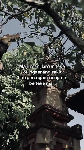 Ngadenang de be teke😇😌#masukfyp #fypdonggg #katakatacinta #masukfypberandamu #baliklagidong #murahnikmatlezat #katakatabali #fypseluruhdunia #katakatamotivasi 