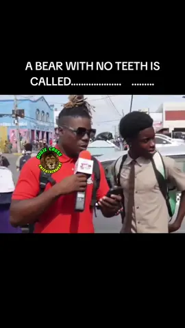 #fyp #fyppp #bear #foryou #foryoupage #fypviral #vyralvideo #trending #jamaicantiktok #dugiecross #dugiecrosscbs #dugiecrossentertaientment 
