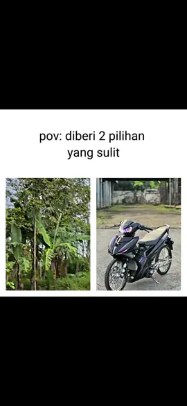 disuruh milih 1 montor impian🗿#mxking150 #fiz r#fyppppppppppp 