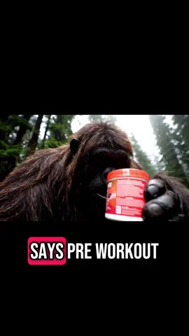Sasquatch finds Pre-workout in the WOODS #Fitness #sasquatch #ai #bigfoot #Hiking #fyp #veo3 #camping #party #fypシ #workout #gym #preworkout #creatine 