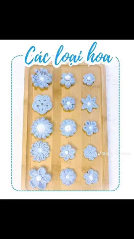 Chart hoa làm rèm cửa #fiypシ #xh #viral #hoa #trending ##crochet #crochetersoftiktok #handmade 