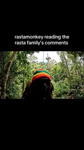rastamonkey lovin di support 🙌#rastamonkey #rasta #monkey #Vlog #chill #ai #bigfoot 