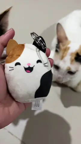 Arrgh! I love new mcdo’s happy meal🥰 It reminds me of my cat💕 @McDonald’s #capcut #fyp #foryou #cat #CapCut #mcdo #happymealtoy 