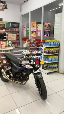 bismillah Sonic nya #fyp #sonicthehedgehog #