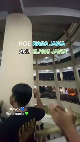 penak seduluran pokok e #fyp #psssleman #psimjogjakarta💙 #brajamusti #bcsxpsssleman #aydk #oramuntir #jogja24jam 