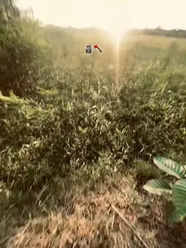 Bojsos 🥷🔥
