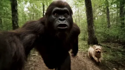 Part 3 | Running away from a dog whose chasing me. #bigfoot #bigfootbanditz #yeti #bigfootvlog 