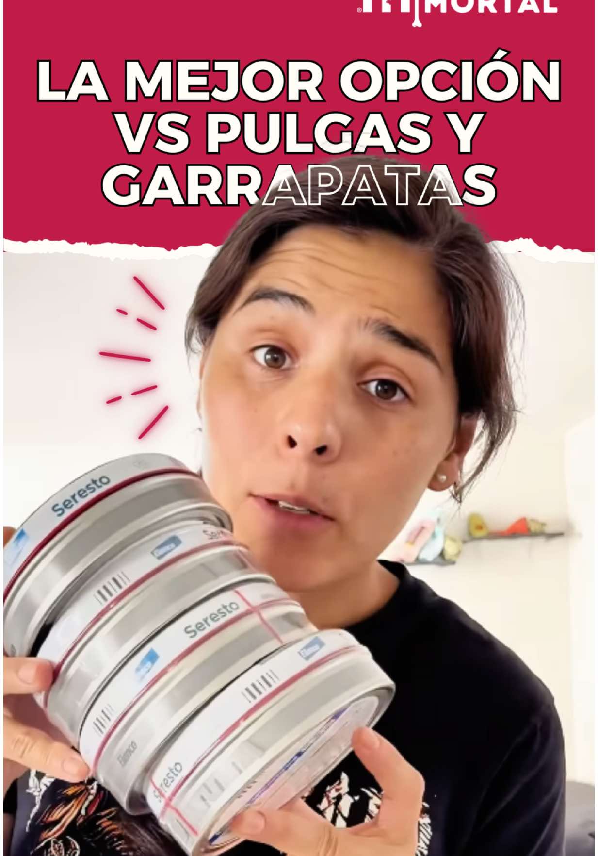 Collares antipulgas y garrapatas para la @Manada Mortal 🐾💀 un poco alta la inversión, pero vale totalmente la pena. La Erliquia es una enfermedad que se transmite a través de las garrapatas y además de ser grave, es muy caro el tratamiento, largo y muy difícil de salir con vida 🥲  Esta no es publicidad pagada, los compré yo 😅 pero ojalá que pronto podamos colaborar juntos, porque vaya que consumimos productos de este tipo en esta casa y más ahora que nos vayamos a la granja mortal, porque hay muchas ardillas por la zona y transmiten estos y otros parásitos. Si tienes alguna duda de éste u otros productos, pregúntame y si no la sé pues la investigamos 🤓 @elancopets.mx chiquéanos plis @manada_mortal 🥰