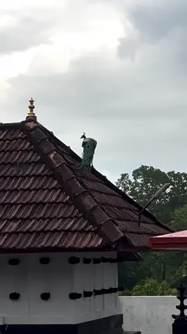 ശുഭദിനം 🙏🙏🙏