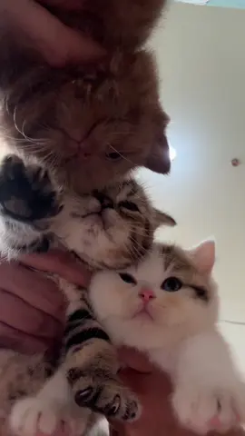 bestie forever together..😍🥰
