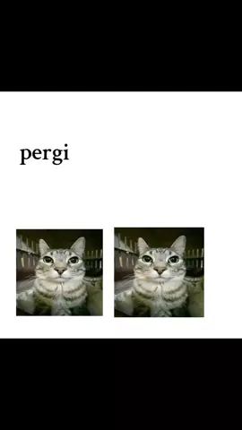 pantun kacip
