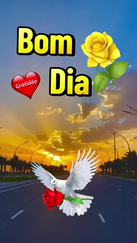 Bom dia,gratidão ao dono dos meus dias 💖