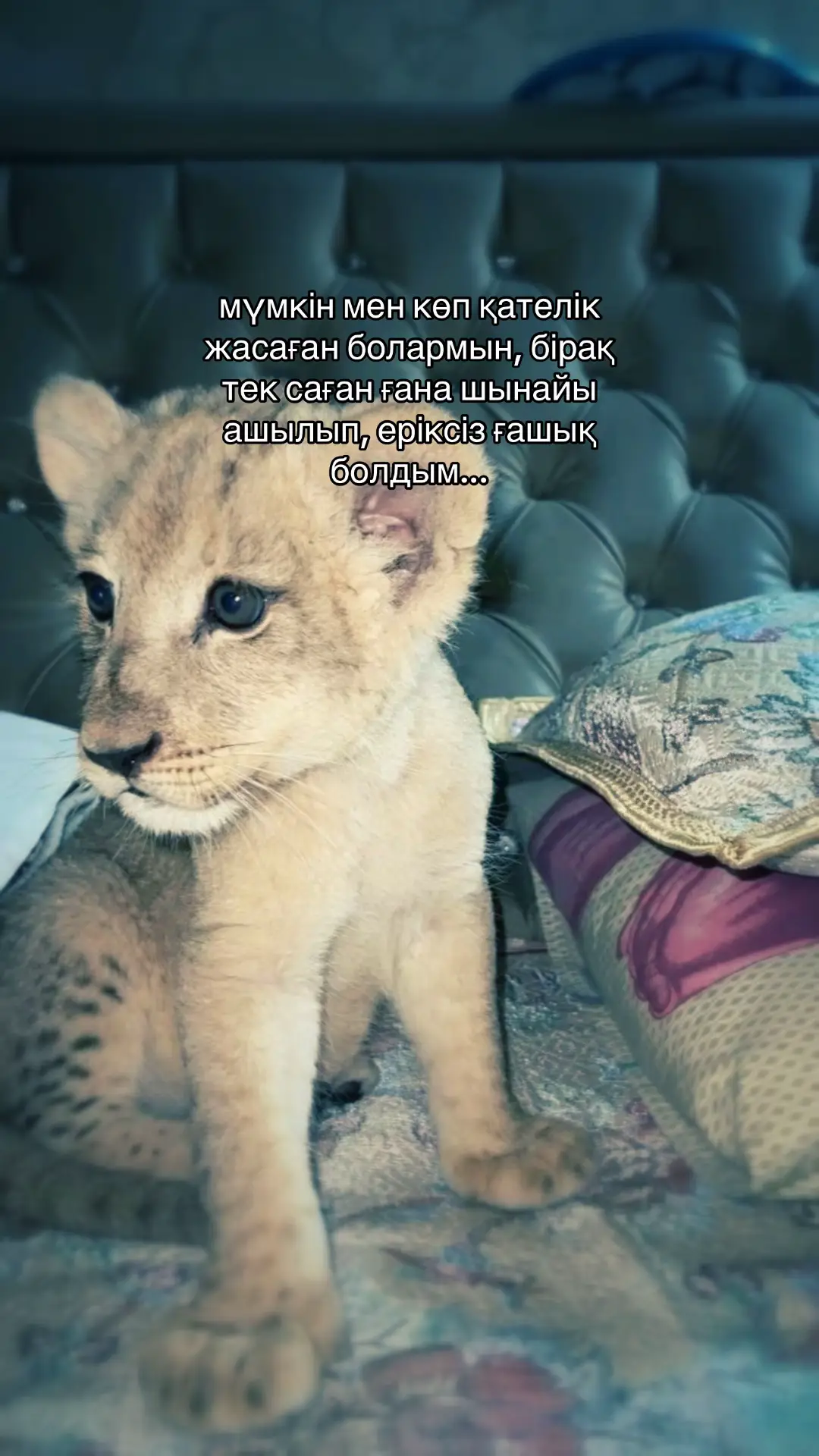 #fyp #rge #edit #рекомендации❤️ 