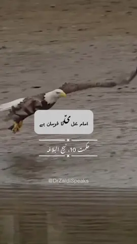 Hazrat Ali Hikmat-10 #hazratali #fyp 