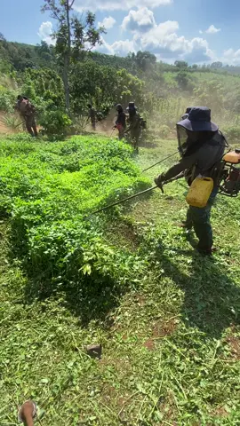 nhanh nhanh về nhậu 😂 