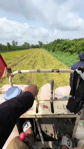 Nay lên tập chạy cộ lúa nha ae.@hải bạch dc93 @cậu 3 báo 64 #kubota #dc93g #khangnguyen🚜🚜 