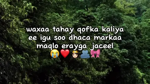 love saarr❤️#viewsproblem😭 #foryoupage❤️❤️ #fypp #viral_video 