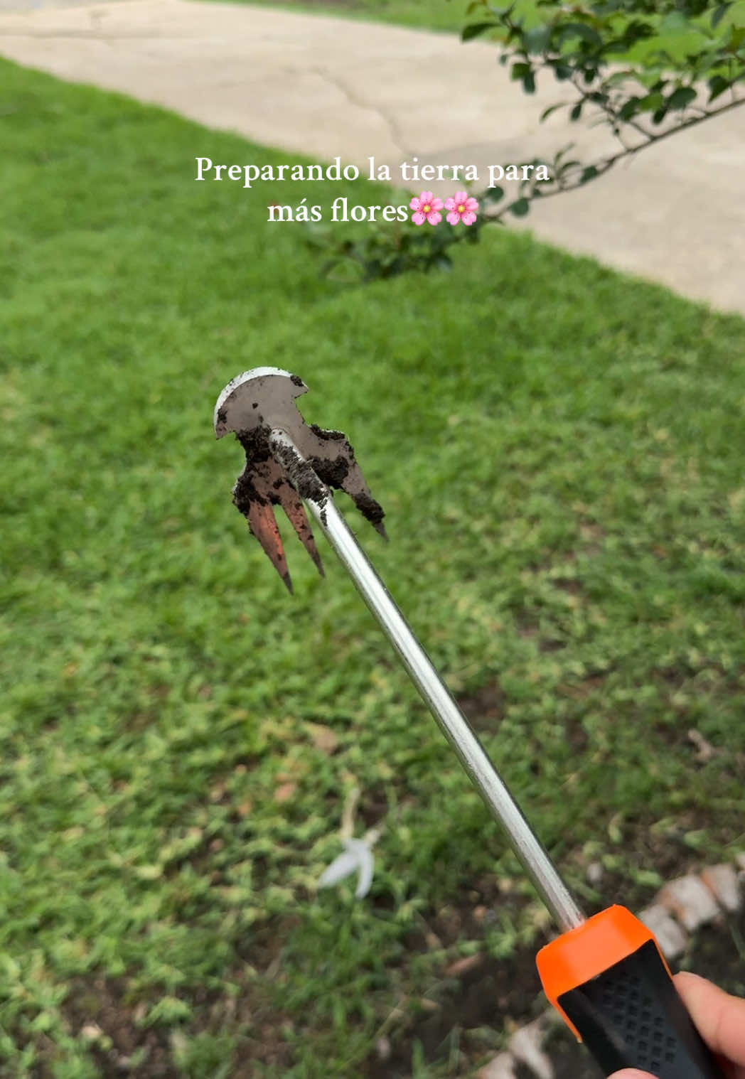 I got it and didn’t think it was going to be so easy to pull the grass out 🤩 #gardening 