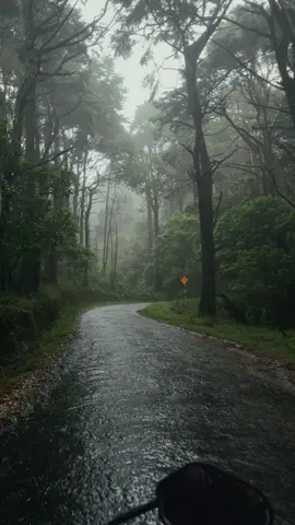 Sometimes all you need is a bike ride with your close circle 🍃💆‍♂️ #srilanka #travel #biketrip #beautifulroads #srilanka🇱🇰 #roadtrip #ohiya #hortonplains 