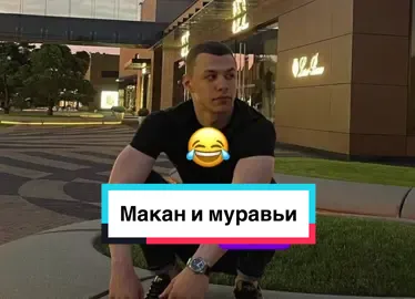 Макан и муравьи😂 #macan 