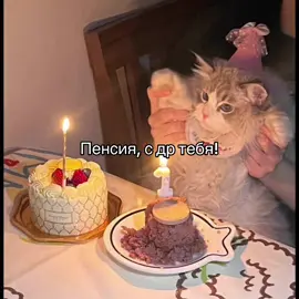 #рек #пенсия #бро #старый #коты #мем #поздравление #др @angie 