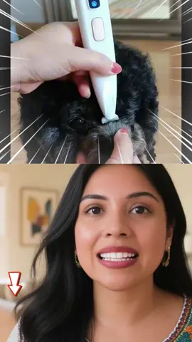 La tijera eléctrica para mascotas MÁS VENDIDA ahora a SOLO 9 dólares! Ese es el PRECIO MÁS BAJO EN LÍNEA, ¡GARANTIZADO!#pet #pets #petsofttiktok #petvlog#tiktokshop#tiktokshopping# #catmom #cats #petpumpkin#BloominDeals#dealsforyoudays#TikTokShopSummerTurnUp#cozyvibes#petlife#pettrimmer #cattrimmer #catclipper 
